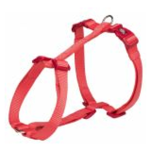 Hundaól, Beisli, L, Bleikt