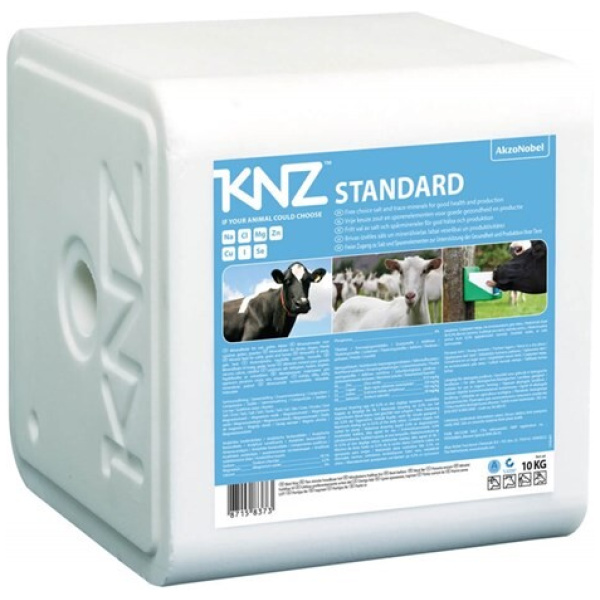 Saltsteinn, 10kg, standard, KNZ