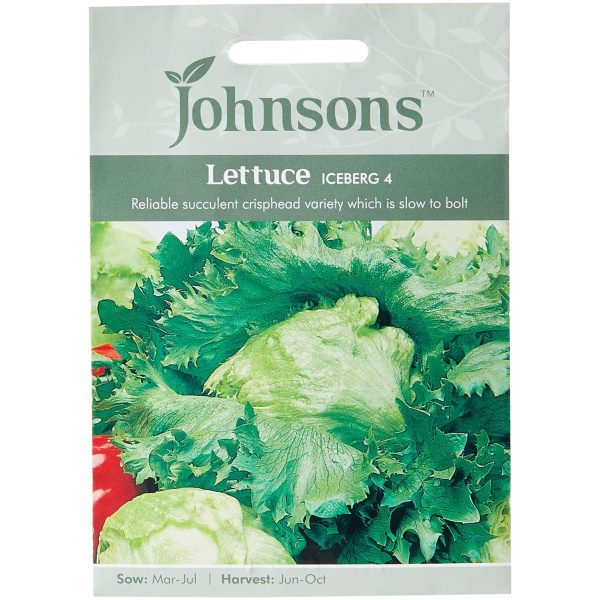 Íssalat - Iceberg 4, Lactuca sativa