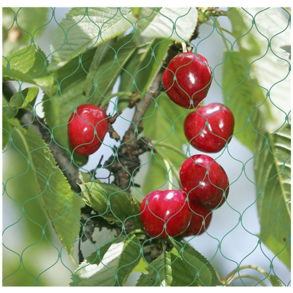 Fuglanet, 4x5m, 97828, Grouw