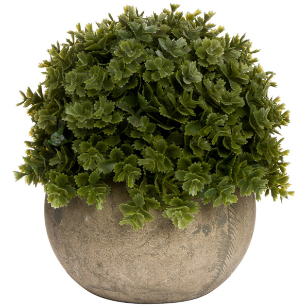 Gerviplanta, kúlu, Veronica, 13cm