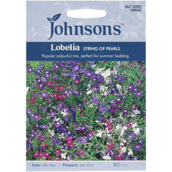 Lobelia/Brúðarauga, String of Pearls