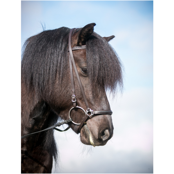 Nasamúll, Softline, brúnt/svart fléttað