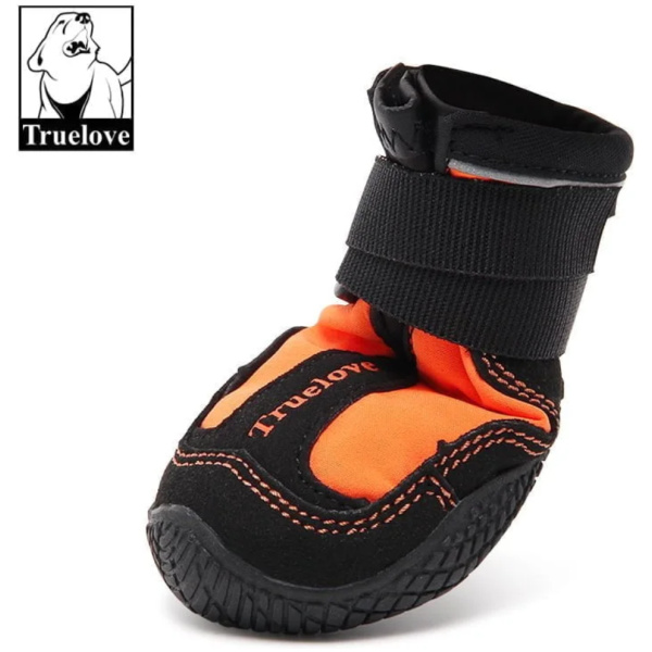 Hundaskór, TrueLove, stærð 2 #