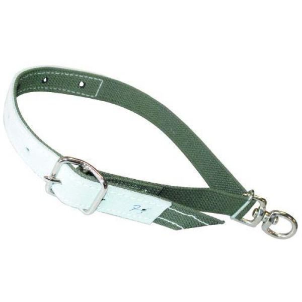 Hálsband, 30mm x 75cm, grænt